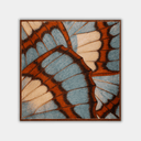 Animal NO.119 - dunumsilk.com